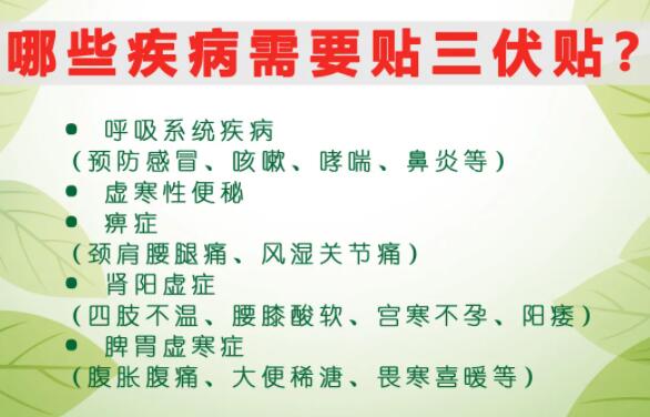 2、什么是三伏貼？三伏貼的作用？